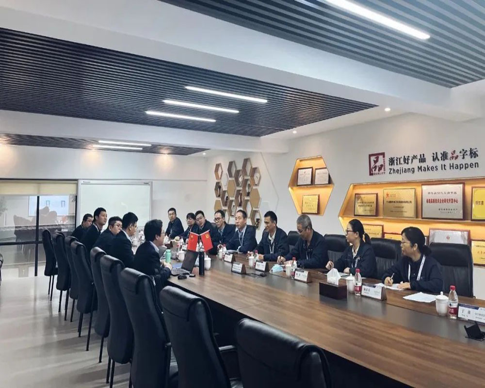 公司順利通過GB/T29490-2013《企業(yè)知識產(chǎn)權管理規(guī)范》體系審核(圖1)